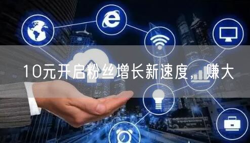 10元开启粉丝增长新速度，赚大