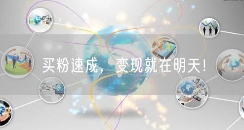 买粉速成，变现就在明天！