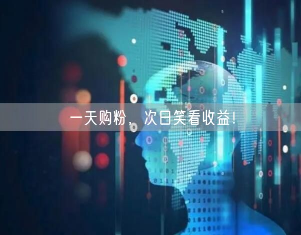 一天购粉，次日笑看收益！
