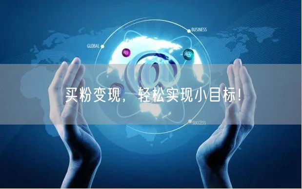 买粉变现，轻松实现小目标！