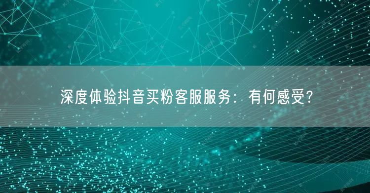 深度体验抖音买粉客服服务：有何感受？