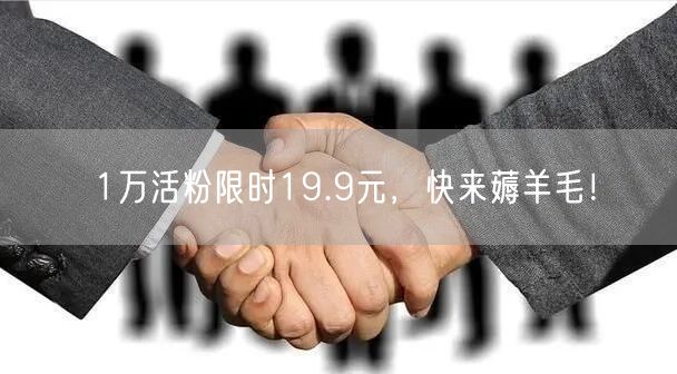 1万活粉限时19.9元，快来薅羊毛！