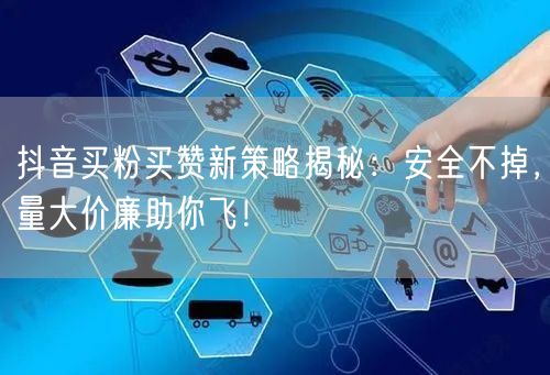 抖音买粉买赞新策略揭秘：安全不掉，量大价廉助你飞！