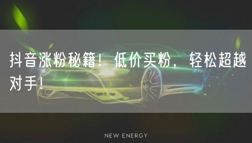 抖音涨粉秘籍！低价买粉，轻松超越对手！