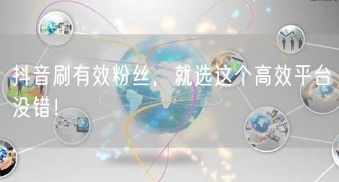 抖音刷有效粉丝，就选这个高效平台没错！