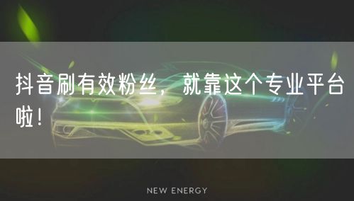 抖音刷有效粉丝，就靠这个专业平台啦！