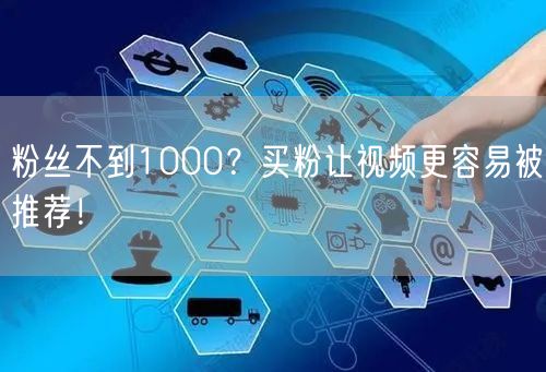 粉丝不到1000？买粉让视频更容易被推荐！