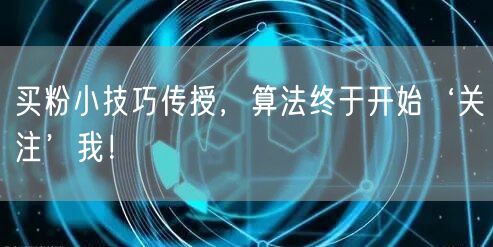 买粉小技巧传授，算法终于开始‘关注’我！