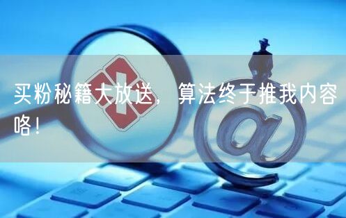 买粉秘籍大放送，算法终于推我内容咯！