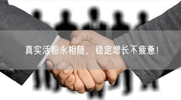 真实活粉永相随，稳定增长不疲惫！