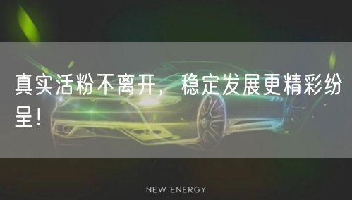 真实活粉不离开，稳定发展更精彩纷呈！