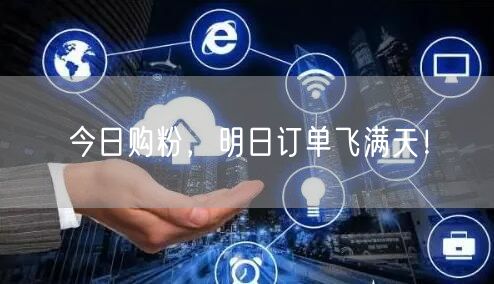 今日购粉，明日订单飞满天！