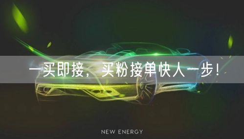 一买即接，买粉接单快人一步！