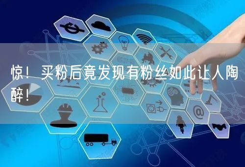 惊！买粉后竟发现有粉丝如此让人陶醉！