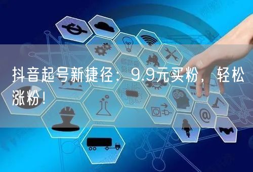 抖音起号新捷径：9.9元买粉，轻松涨粉！