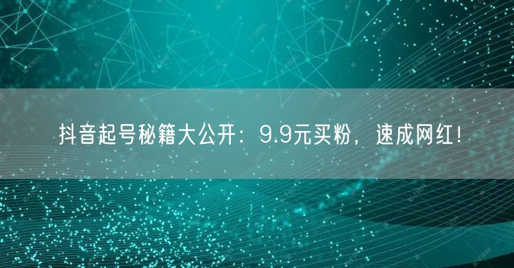 抖音起号秘籍大公开：9.9元买粉，速成网红！