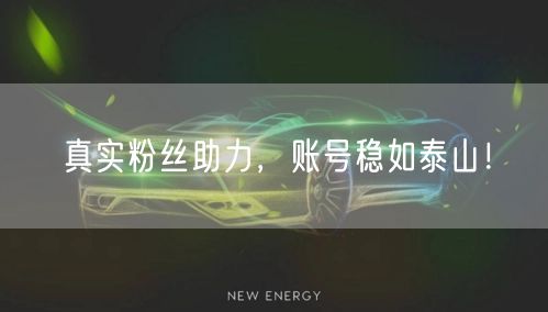 真实粉丝助力，账号稳如泰山！