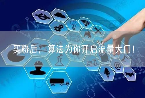 买粉后，算法为你开启流量大门！