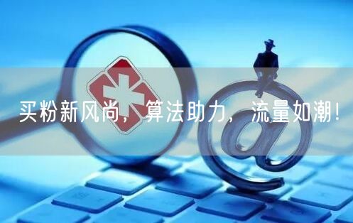 买粉新风尚，算法助力，流量如潮！