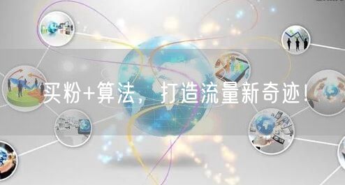 买粉+算法，打造流量新奇迹！