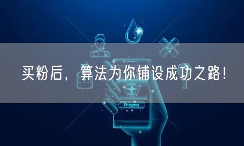 买粉后，算法为你铺设成功之路！