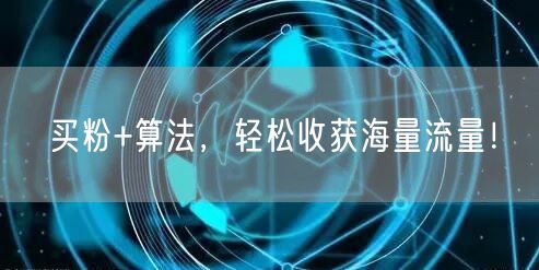 买粉+算法，轻松收获海量流量！