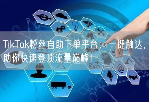 TikTok粉丝自助下单平台，一键触达，助你快速登顶流量巅峰！