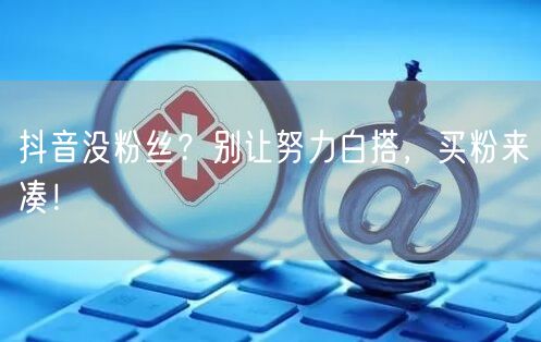 抖音没粉丝？别让努力白搭，买粉来凑！