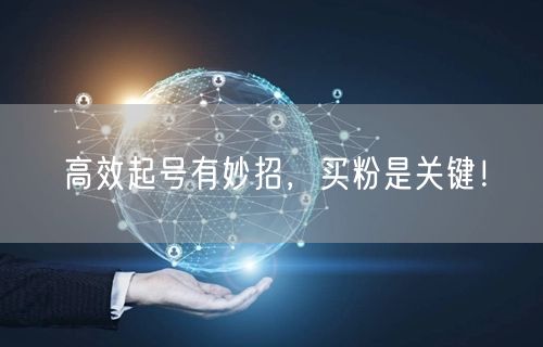 高效起号有妙招，买粉是关键！