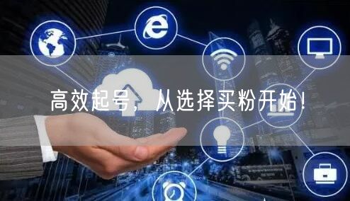 高效起号，从选择买粉开始！