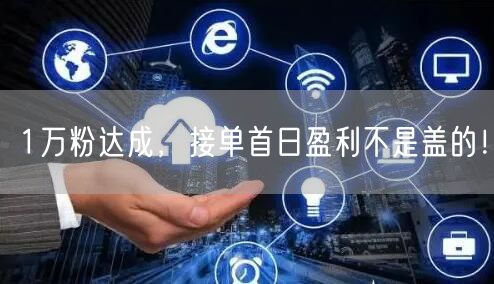 1万粉达成，接单首日盈利不是盖的！