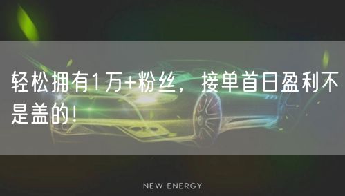 轻松拥有1万+粉丝，接单首日盈利不是盖的！