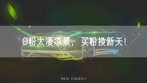 0粉太凄凉景，买粉换新天！