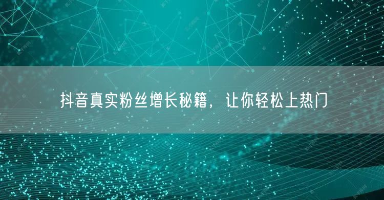 抖音真实粉丝增长秘籍，让你轻松上热门