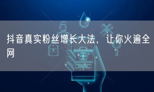 抖音真实粉丝增长大法，让你火遍全网