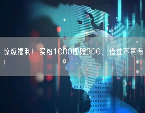 惊爆福利！买粉1000即赠500，错过不再有！