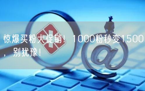 惊爆买粉大促销！1000粉秒变1500，别犹豫！
