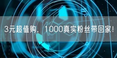 3元超值购，1000真实粉丝带回家！