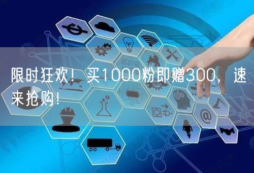 限时狂欢！买1000粉即赠300，速来抢购！