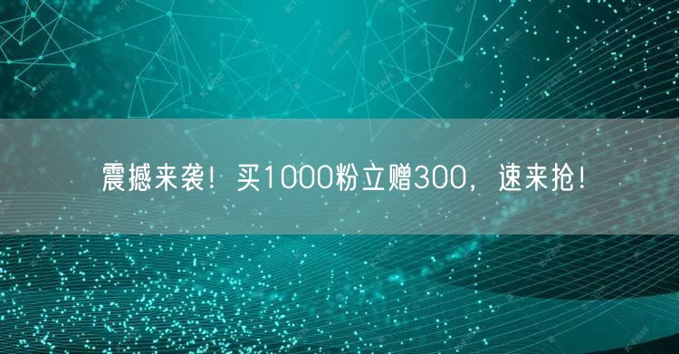 震撼来袭！买1000粉立赠300，速来抢！