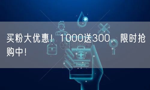 买粉大优惠！1000送300，限时抢购中！