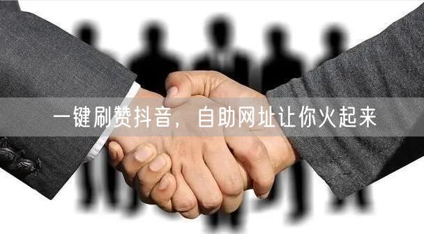 一键刷赞抖音，自助网址让你火起来