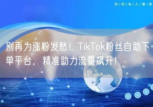 别再为涨粉发愁！TikTok粉丝自助下单平台，精准助力流量飙升！