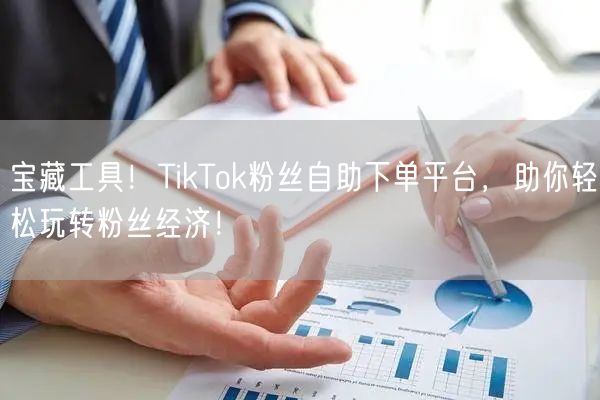 宝藏工具！TikTok粉丝自助下单平台，助你轻松玩转粉丝经济！