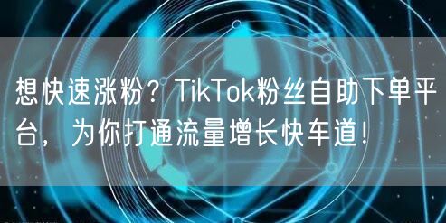 想快速涨粉？TikTok粉丝自助下单平台，为你打通流量增长快车道！