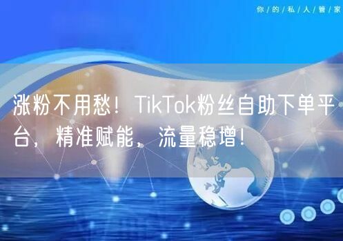 涨粉不用愁！TikTok粉丝自助下单平台，精准赋能，流量稳增！