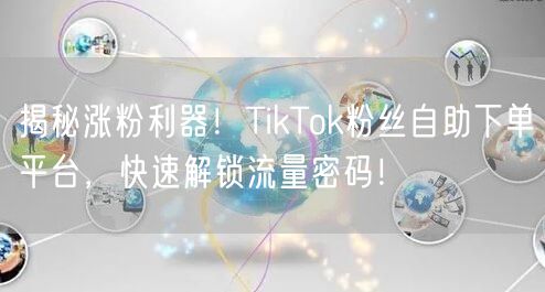 揭秘涨粉利器！TikTok粉丝自助下单平台，快速解锁流量密码！