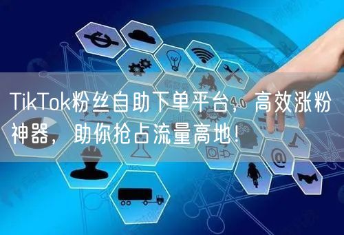 TikTok粉丝自助下单平台，高效涨粉神器，助你抢占流量高地！