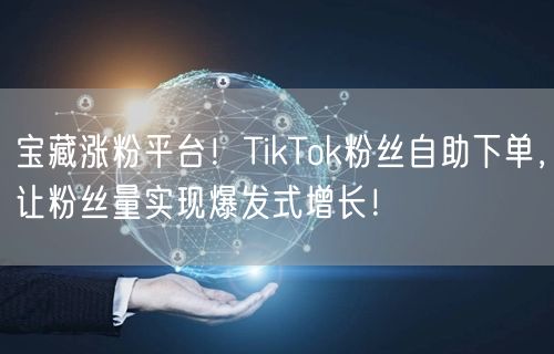 宝藏涨粉平台！TikTok粉丝自助下单，让粉丝量实现爆发式增长！