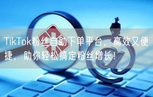 TikTok粉丝自助下单平台，高效又便捷，助你轻松搞定粉丝增长！